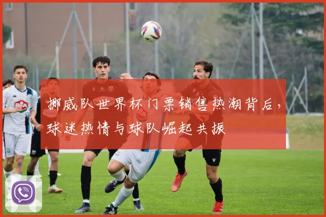 挪威队世界杯门票销售热潮背后，球迷热情与球队崛起共振 - 中国体彩网推荐