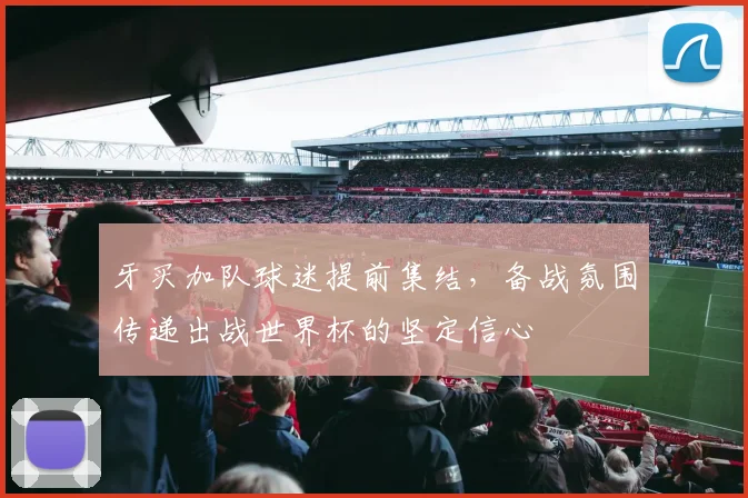 牙买加队球迷提前集结,备战氛围传递出战世界杯的坚定信心 - 中国体彩网推荐