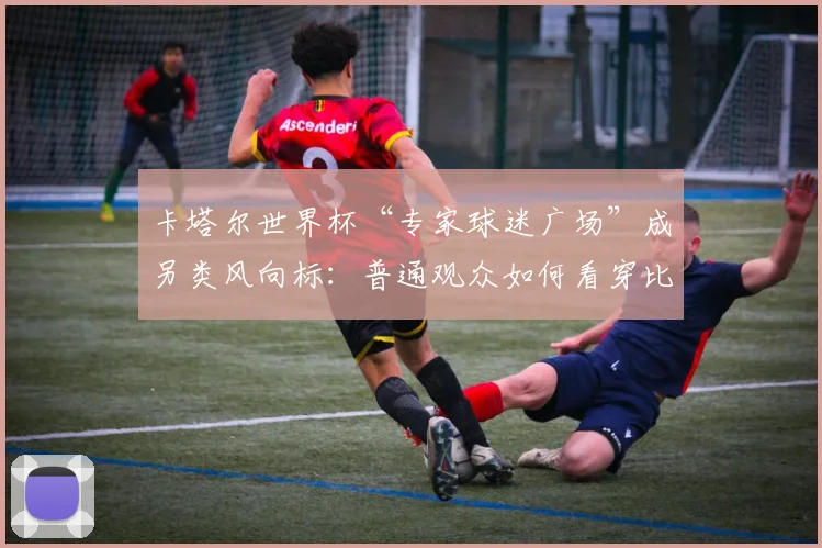 卡塔尔世界杯“专家球迷广场”成另类风向标:普通观众如何看穿比赛玄机 - 中国体彩网推荐